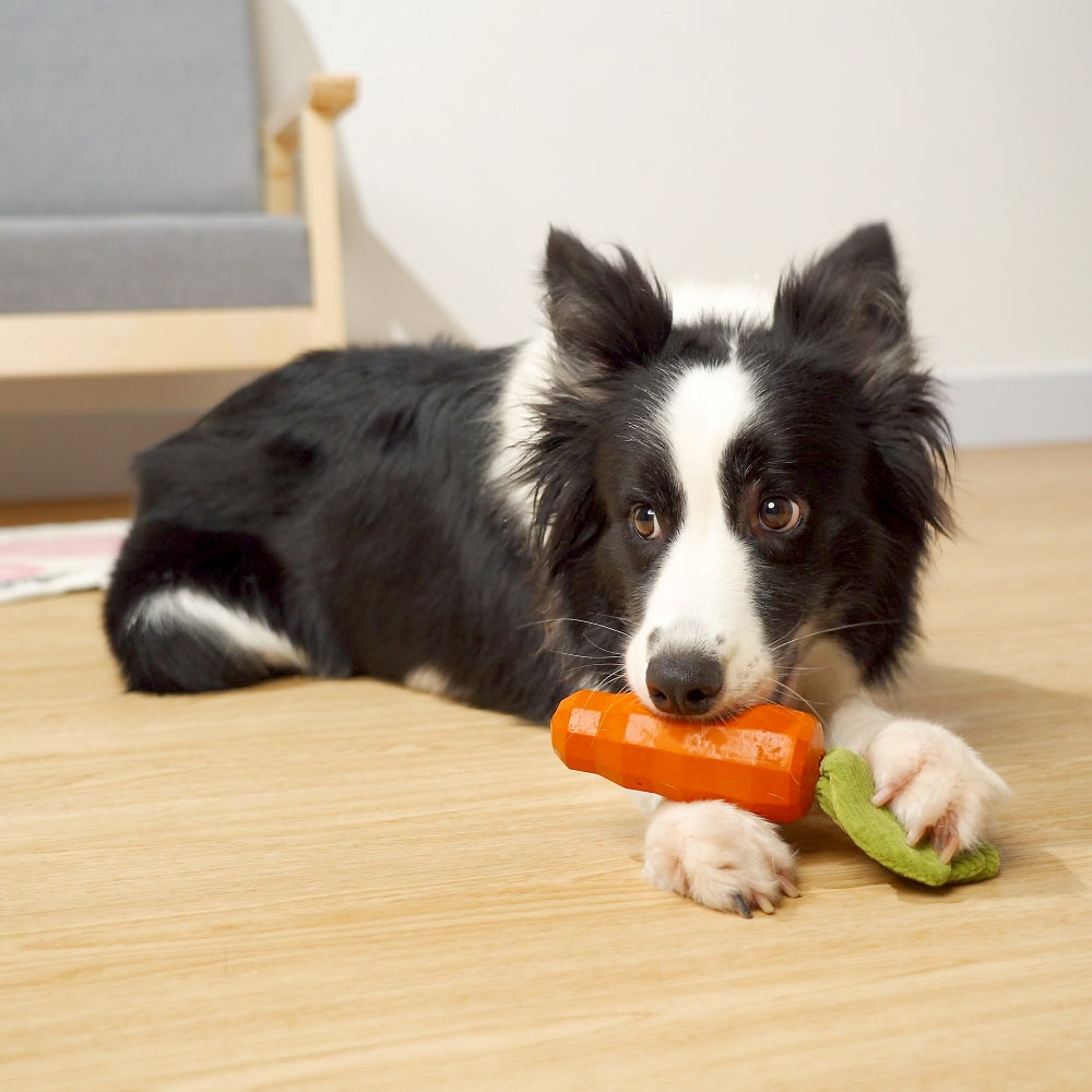 Eco-Friendly Natural Rubber Dog Chew Toy — Carrot Shape