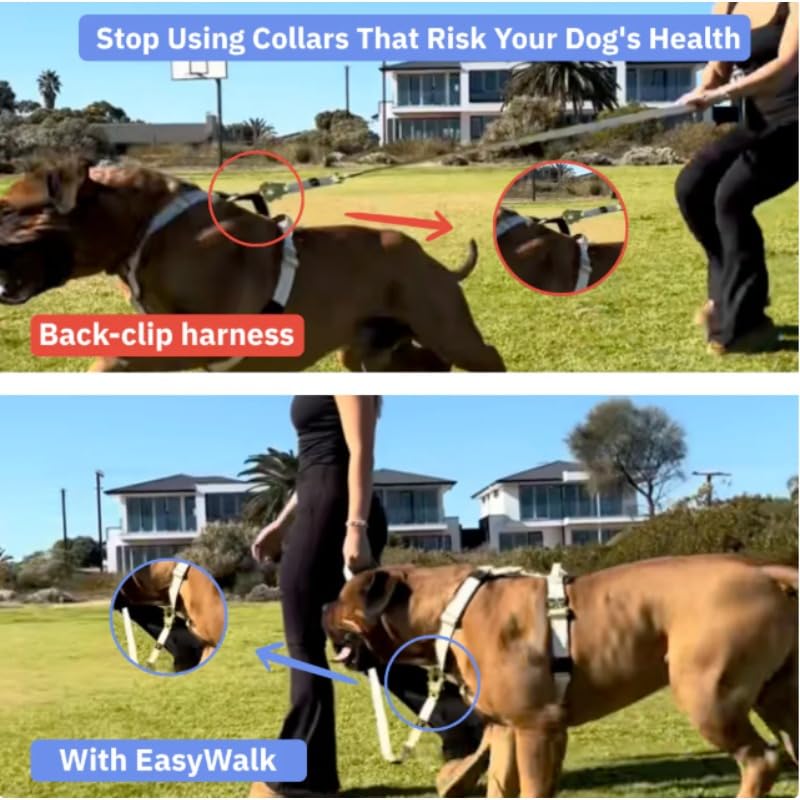 Breathable Mesh No-Pull Dog Harness – Stop Leash Pulling Instantly