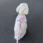 Adjustable Bee-Themed Pet Harness & Leash Set for Cats and Small Dogs