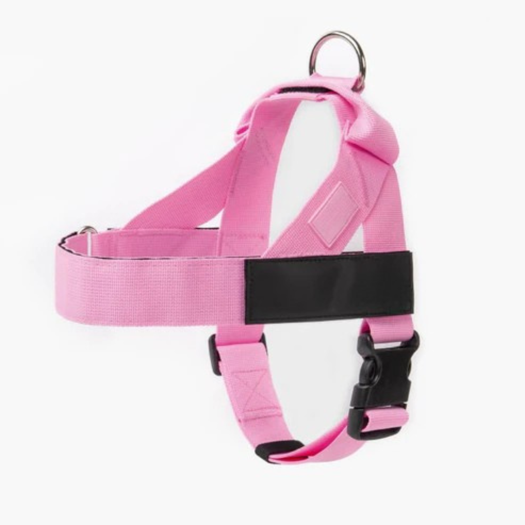 Adjustable Neck & Chafe-Resistant Dog Harness for Small Dogs – No-Pull, Soft Mesh, Easy-Click Buckle