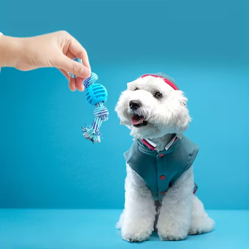 Interactive Dog Chew Toy – Knotted Rope Chew for Tug-of-War & Dental Health
