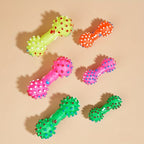 Interactive Squeaky Chew Toys for Dogs – Fun, Durable & Small-Dog Friendly