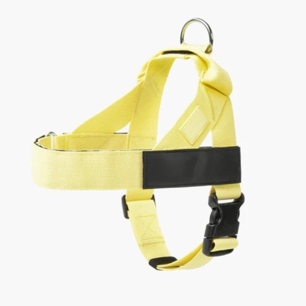 Adjustable Neck & Chafe-Resistant Dog Harness for Small Dogs – No-Pull, Soft Mesh, Easy-Click Buckle