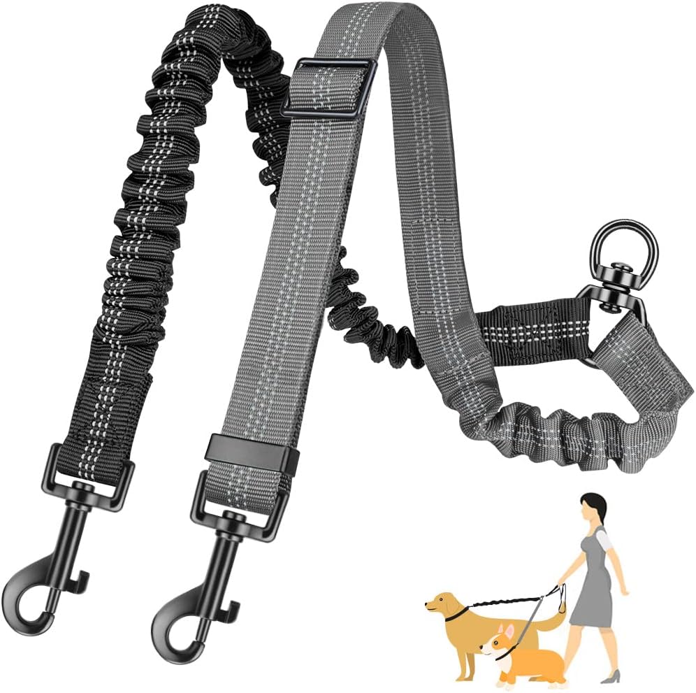 Reflective Adjustable Elastic Dog Leash – Shock-Absorbing & Tangle-Free