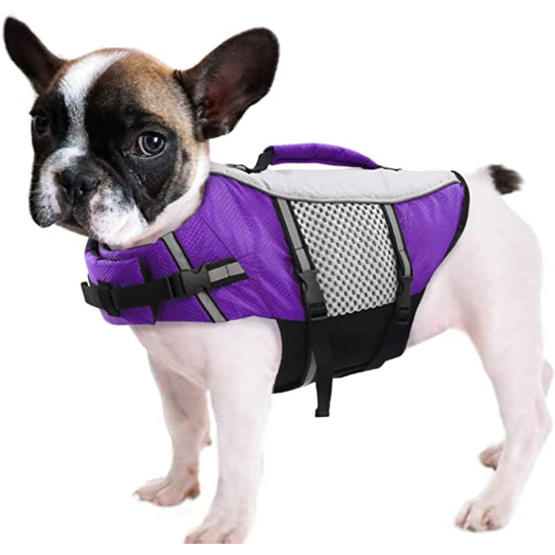 Dog Life Jacket – Lightweight, High-Visibility Swimming Vest with Lift Handle & Leash Ring (Blue, X-Small)