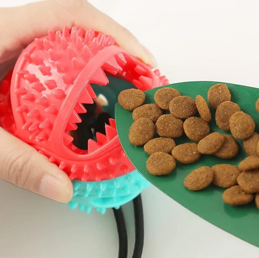 Durable Dog Tug Toy – PowerPaw (Great for Chewers & Playtime!)