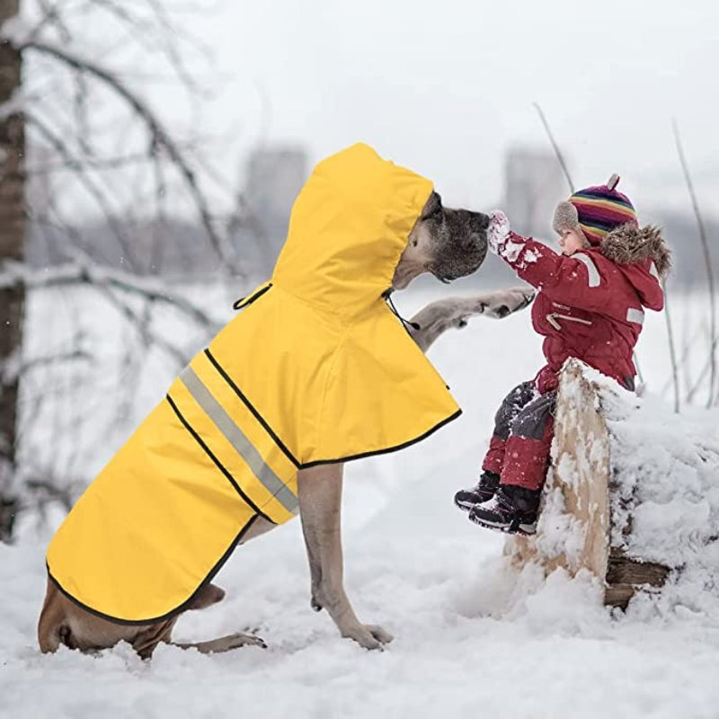 Waterproof Dog Raincoat for Small Breeds – Adjustable Hooded Jacket with Reflective Strip