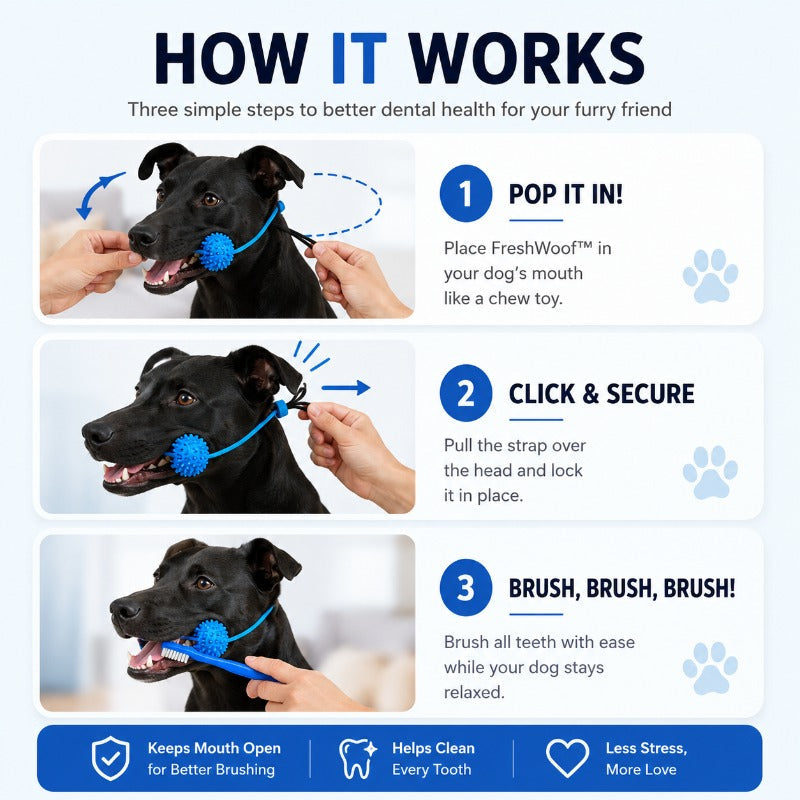 Hands-Free Dog Toothbrushing Aid — Chewable Dental Cleaner for Small & Medium Dogs