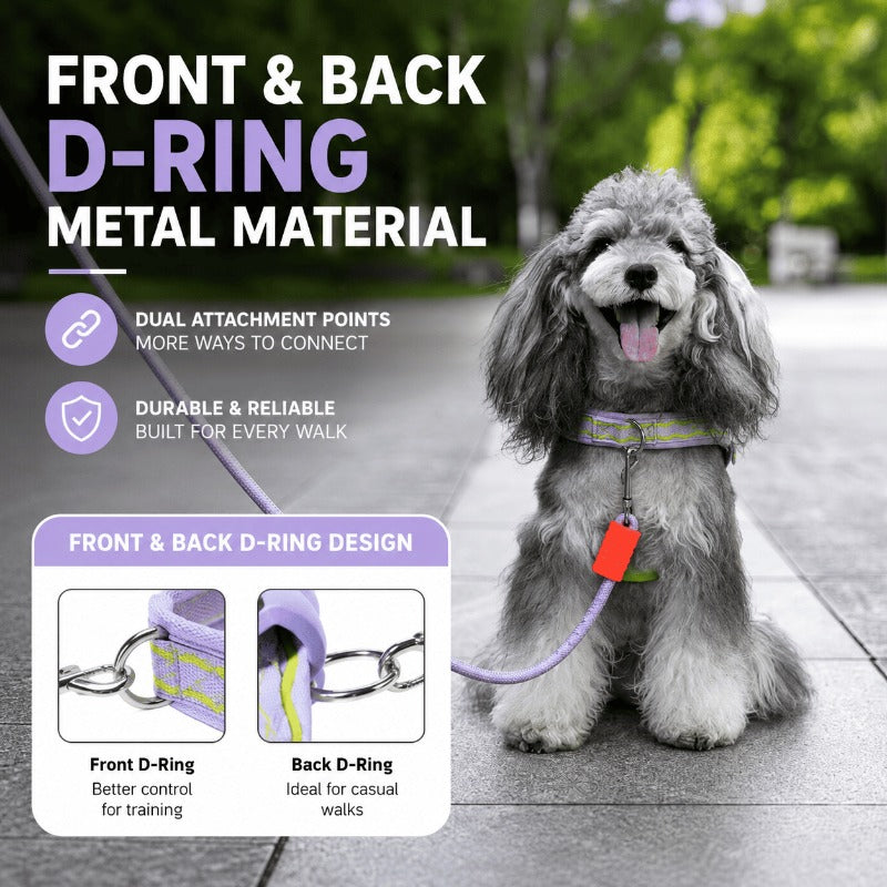Foam Handle Dog Control Harness – Adjustable, Breathable & Training-Ready