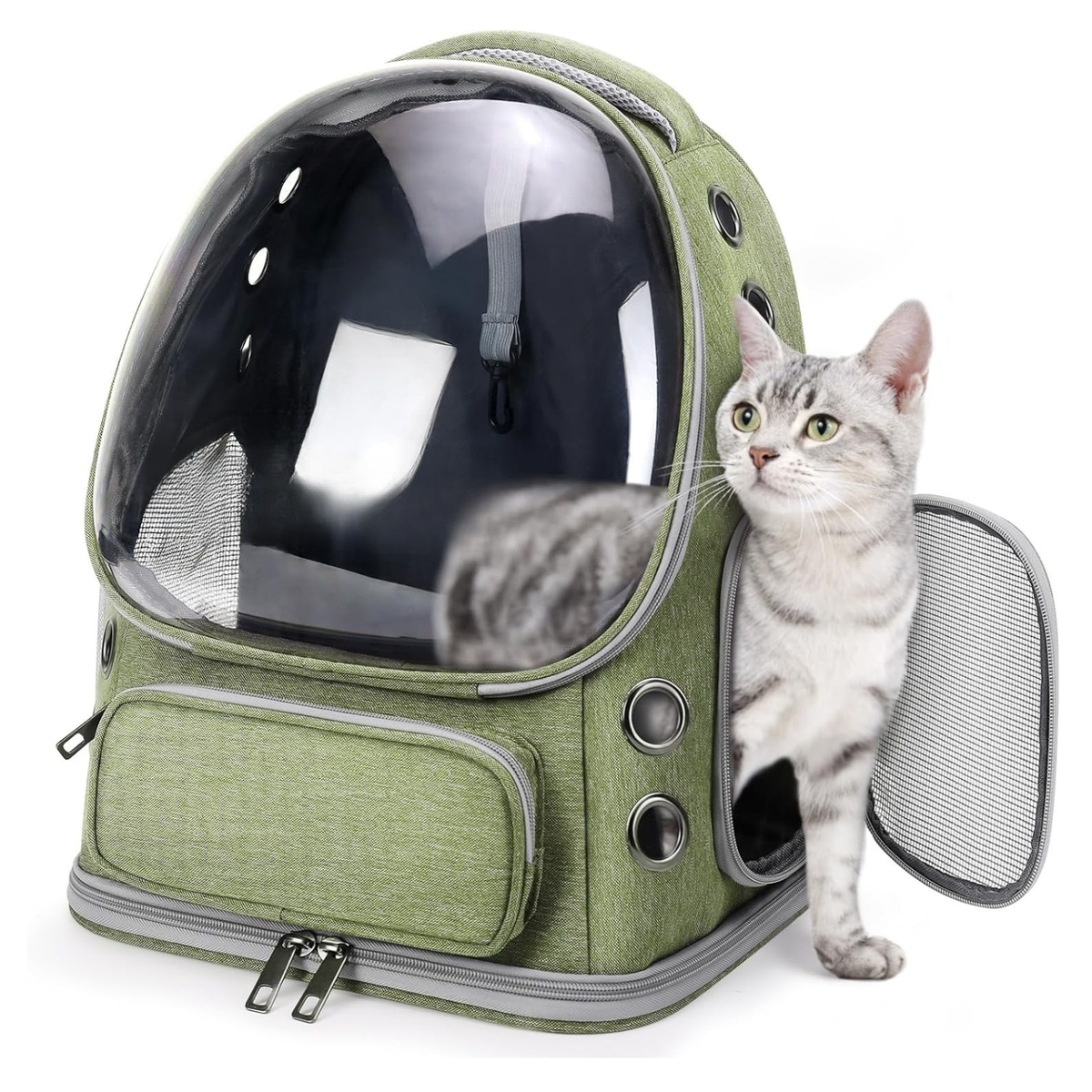Expandable Bubble Travel Carrier Backpack for Cats & Small Dogs