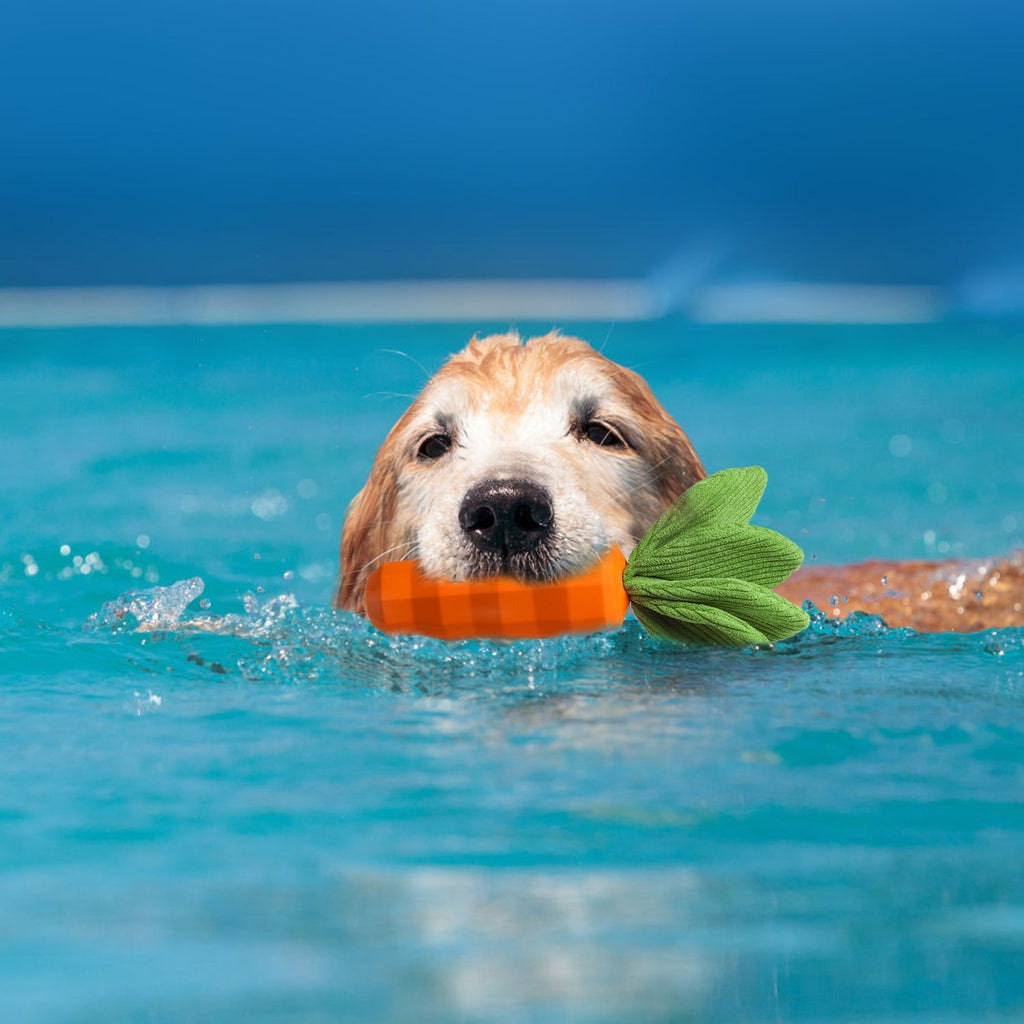 Eco-Friendly Natural Rubber Dog Chew Toy — Carrot Shape