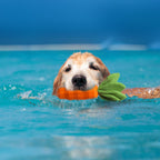 Eco-Friendly Natural Rubber Dog Chew Toy — Carrot Shape