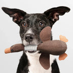 Dog Toy (Buy 1, Get 1 FREE) – StarkGans