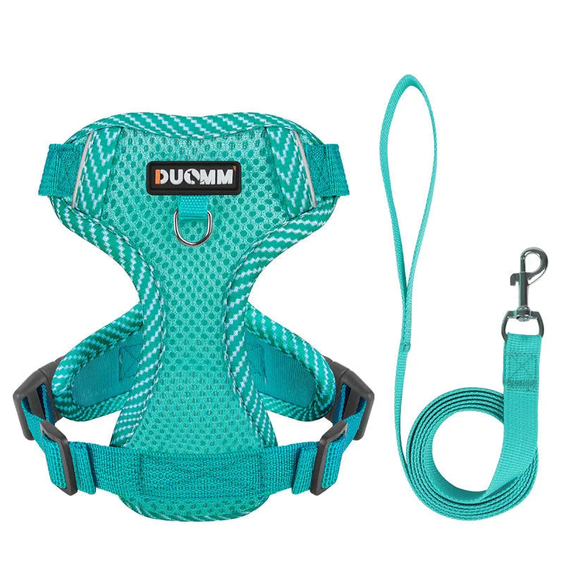 Reflective Dog Harness & Leash Set for Small Dogs – SafeStep