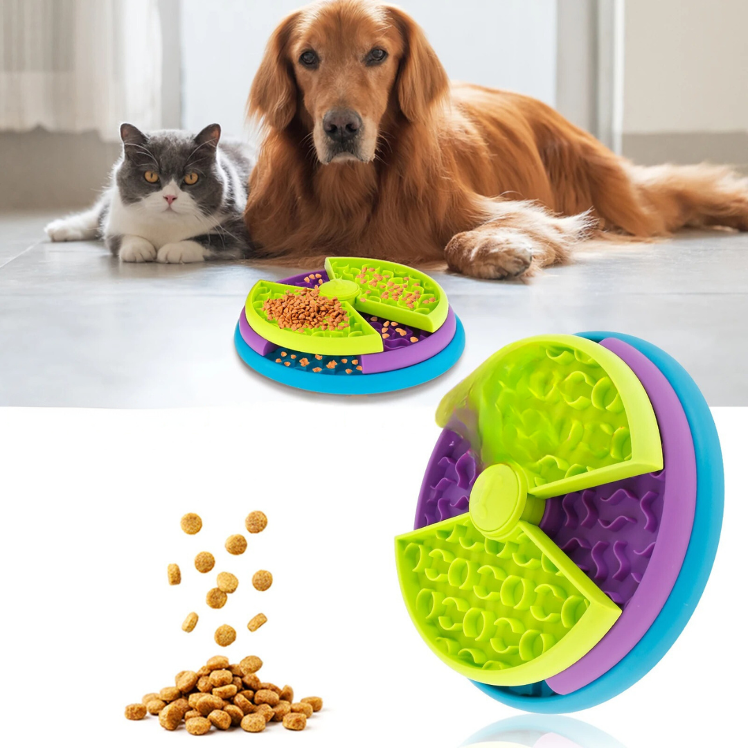 Engagement Feeding Bowl with Multiple Levels – Slow Feed Dog Bowl