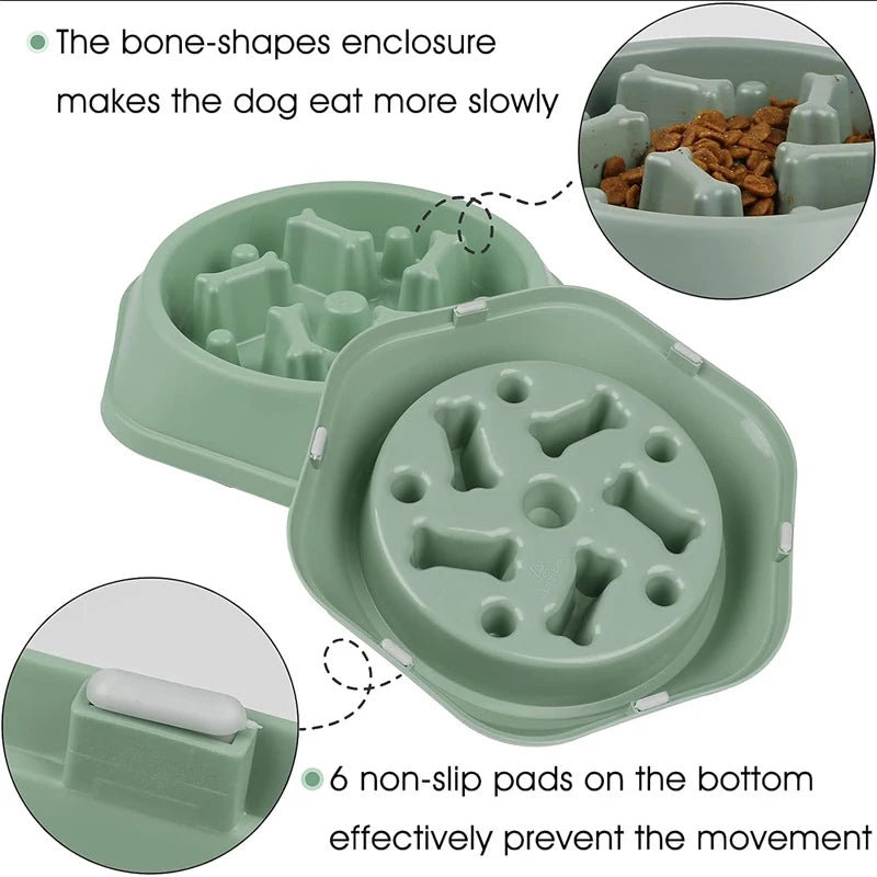 Slow Feeder Dog Bowl – Anti-Gulping Feeding Station for Healthier Digestion