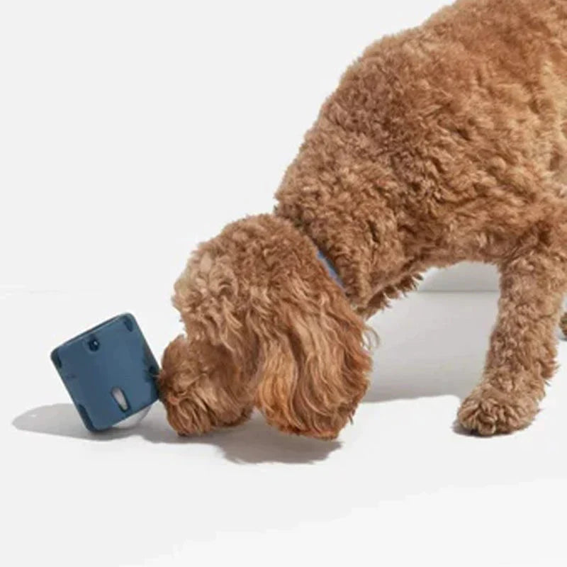 BounceTuff – Interactive Dog Toy for Dental Health & Fun