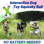 Interactive Dog Voice Ball Toy for IQ Training & Play