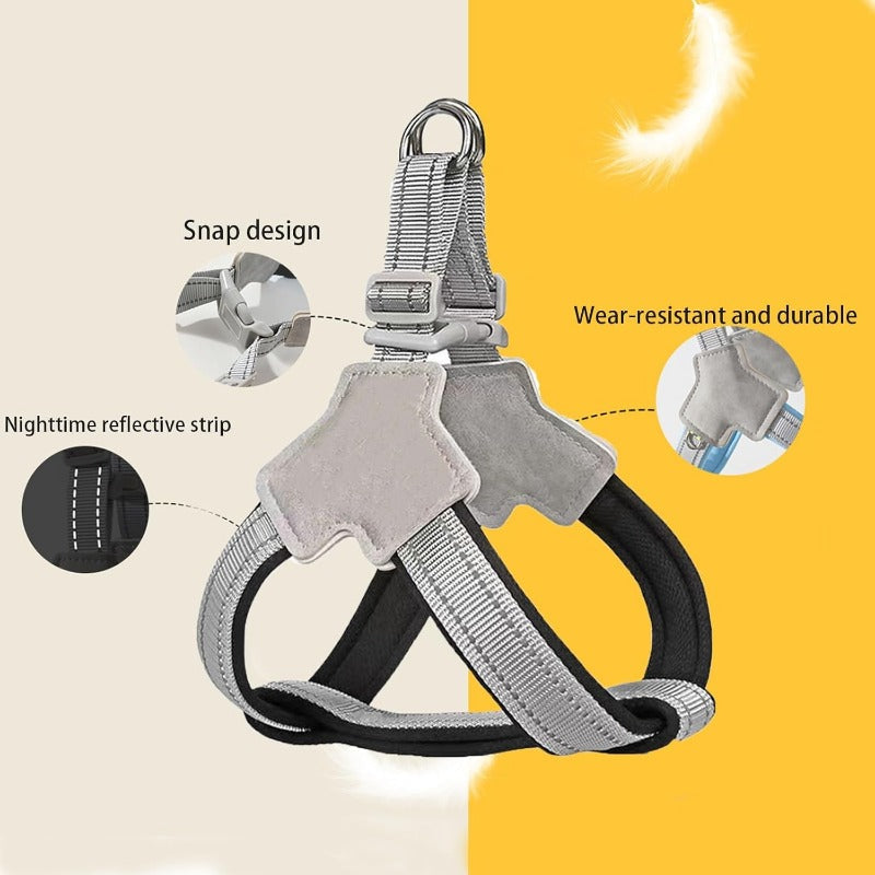 Safe Night Walk Gear for Pets & Owners