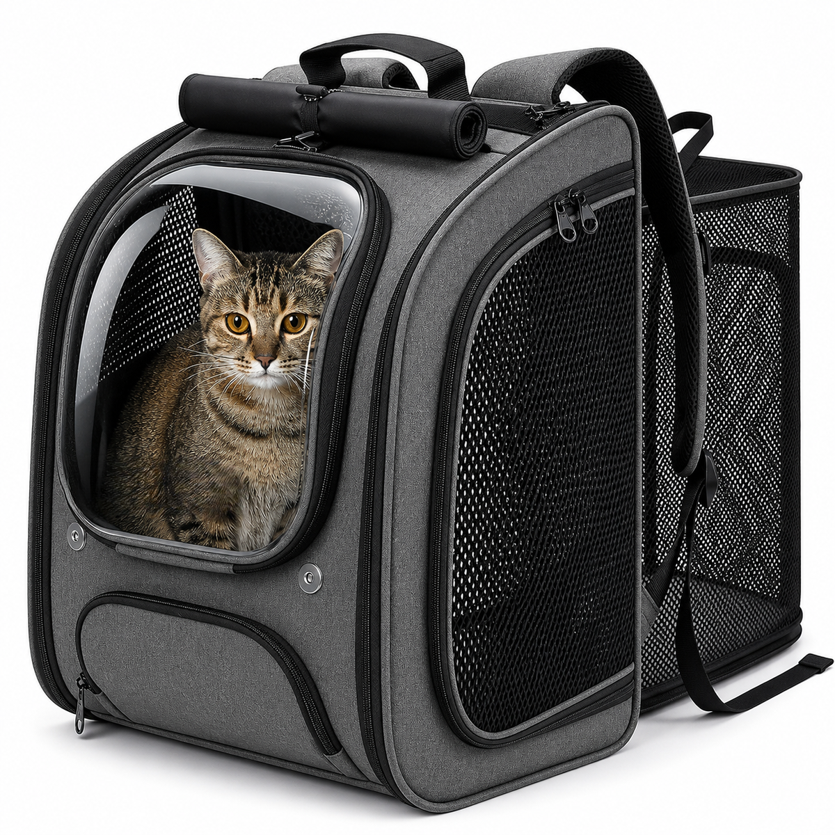 3D Ergonomic Pet Backpack Carrier – Comfortable, Ventilated & Secure for Cats & Small Dogs