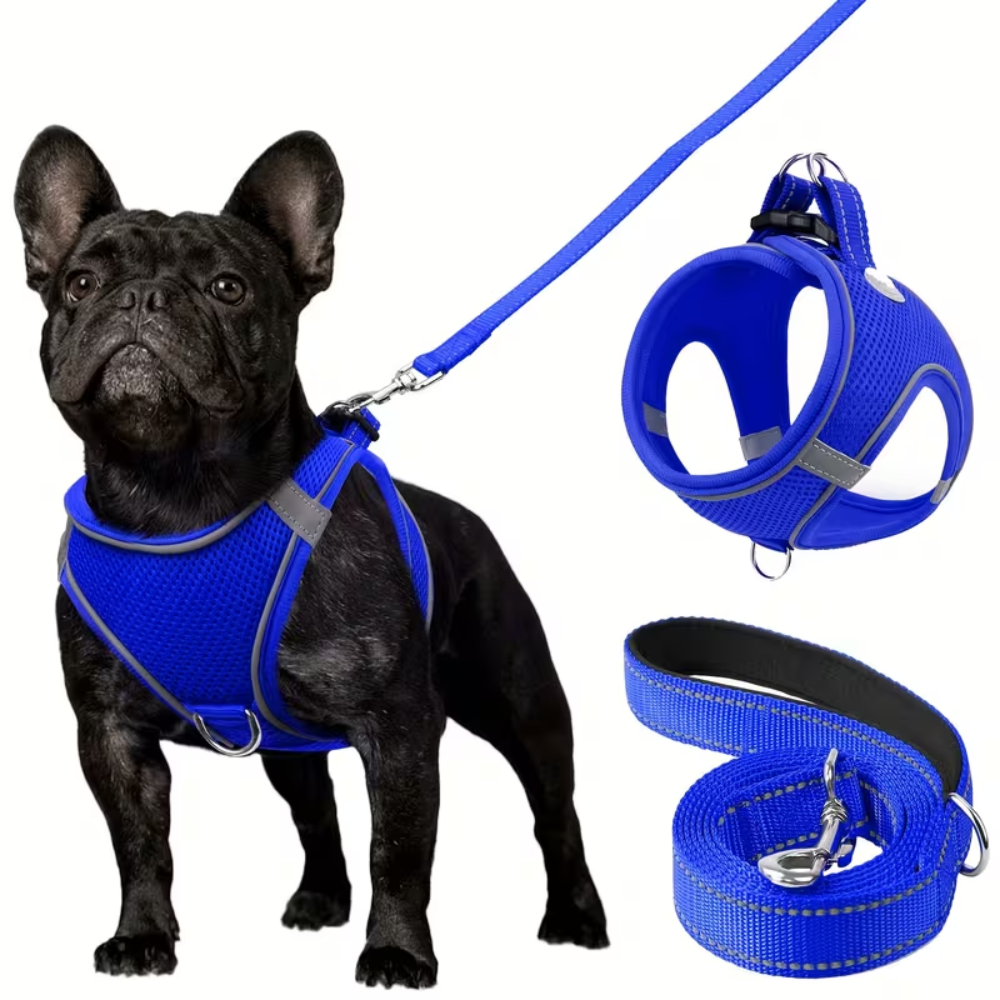 Adjustable Dog Harness & Leash Set – Reflective, Step-In Design for Easy Control