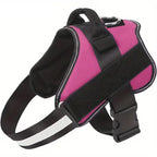 Reflective Adjustable Dog Harness with Matching Leash