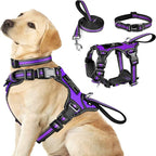 3-in-1 Reflective Dog Harness Set — No-Pull Harness, Collar & Leash for Puppies & Small Dogs