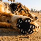 Anti-Slip Dog Paw Grips – Reusable Silicone Traction Pads for Hard Floors