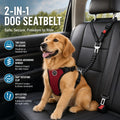 Shock-Absorbing Dog Car Seatbelt – Dual-Anchor Safety Restraint for Dogs
