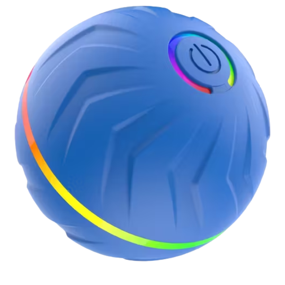 Interactive Dog Toy with USB Rechargeable Motion Sensor
