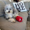 BounceTuff – Interactive Dog Toy for Dental Health & Fun