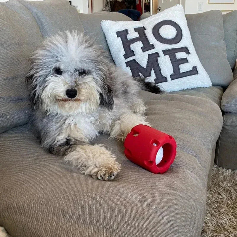 BounceTuff – Interactive Dog Toy for Dental Health & Fun