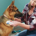 BugFree Electric Flea Comb for Cats & Dogs – Cordless, Rechargeable Pet Grooming Tool