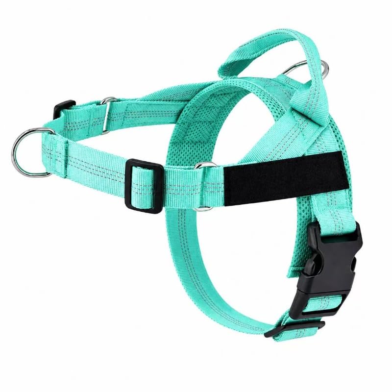Breathable Mesh No-Pull Dog Harness – Stop Leash Pulling Instantly