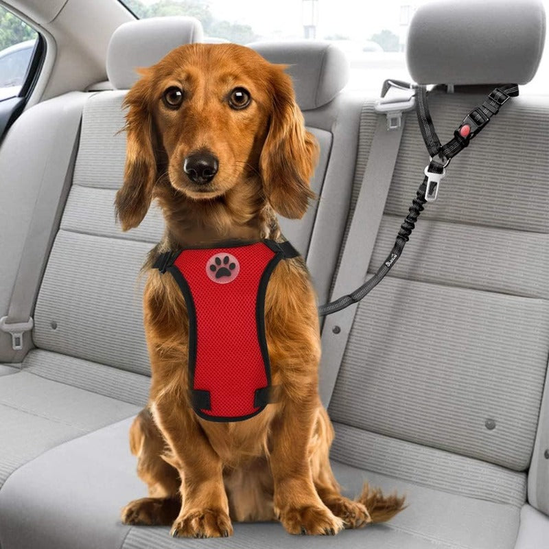 Shock-Absorbing Dog Car Seatbelt – Dual-Anchor Safety Restraint for Dogs