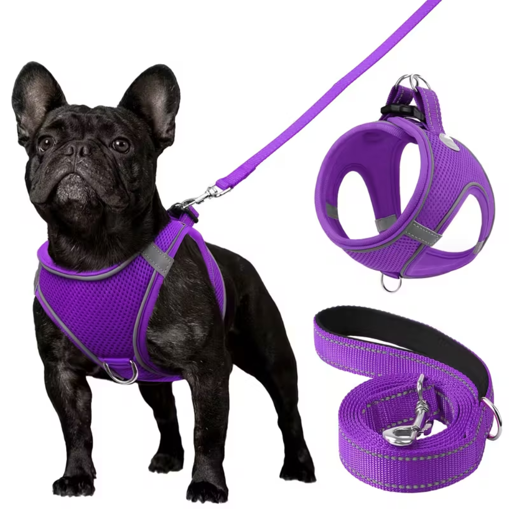 Adjustable Dog Harness & Leash Set – Reflective, Step-In Design for Easy Control