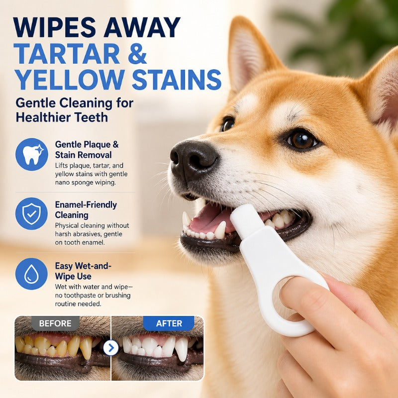 Nano Sponge Pet Tooth Cleaner – Disposable Dental Wipes for Dogs & Cats