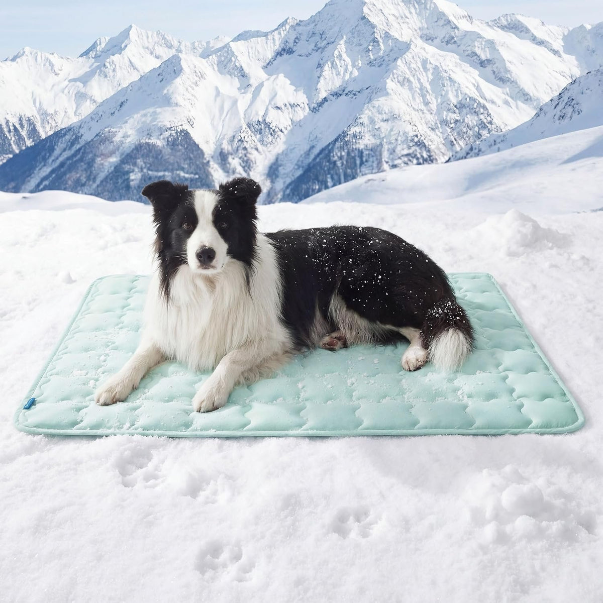 Lightweight Cooling Dog Mat – Instant Chill Floor Pad for Hot Days