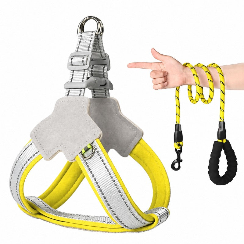 Safe Night Walk Gear for Pets & Owners