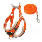 Adjustable Air Mesh Dog & Cat Harness – Breathable, Secure, Reflective