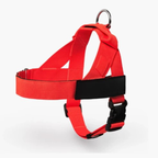 Adjustable Neck & Chafe-Resistant Dog Harness for Small Dogs – No-Pull, Soft Mesh, Easy-Click Buckle