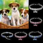 Glamorous Pet Collar – SparkleCollar