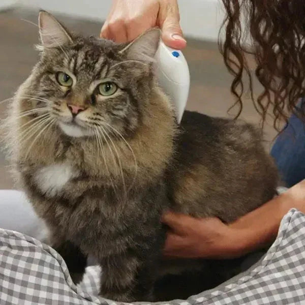 BugFree Electric Flea Comb for Cats & Dogs – Cordless, Rechargeable Pet Grooming Tool