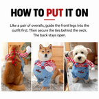 Pet Halloween Costume – Fun & Comfortable Dog or Cat Outfit for Festive Photos