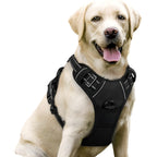 No-Pull Dog Harness with Dual Leash Clips (Front + Back)