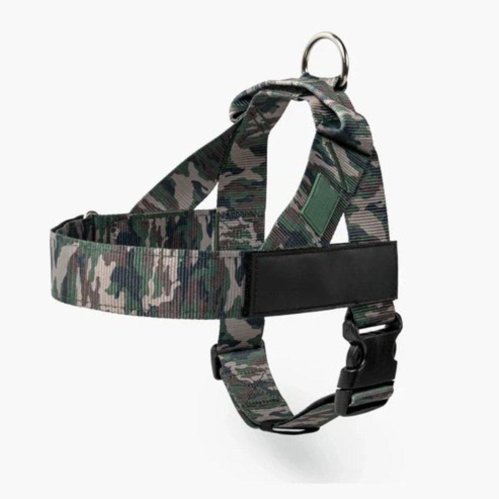Adjustable Neck & Chafe-Resistant Dog Harness for Small Dogs – No-Pull, Soft Mesh, Easy-Click Buckle