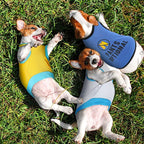 8-Piece Dog T-Shirt Set – Funny Letter Prints, Stylish Summer Outfits for Small Breeds