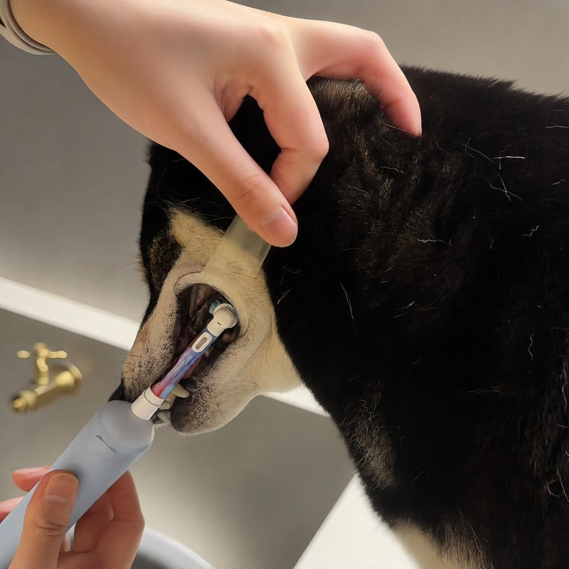 Pet Teeth Brushing Helper – Gentle Cheek Retractor for Dogs & Cats
