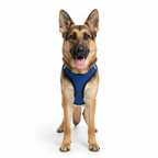 Step-In Air Mesh Dog Harness – Lightweight, Breathable & Reflective Pet Walking Harness