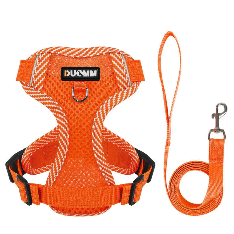 Reflective Dog Harness & Leash Set for Small Dogs – SafeStep